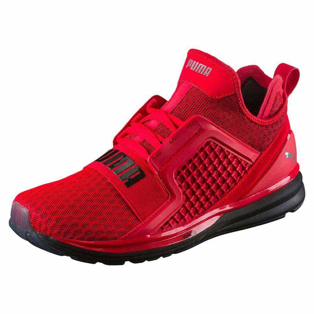 Puma Ignite Limitless Red buy and 