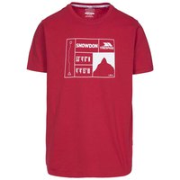 trespass-snowdon-short-sleeve-t-shirt