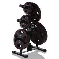 gymstick-rack-for-olympic-weight-plates-support