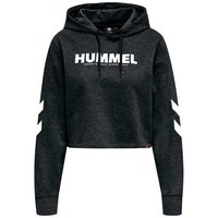 hummel-dessuadora-legacy-cropped