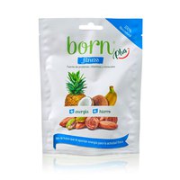 Born fruits Fitness Plus 45 gr