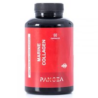 Pangea Collagen 60 Units