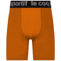le-coq-sportif-training-shorts-hosen