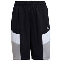 adidas-cb-designed-2-move-shorts