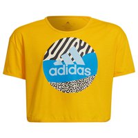 adidas-pw-ar-short-sleeve-t-shirt