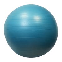 sporti-france-gymnastikball-65-cm