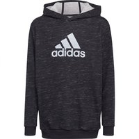 adidas-sweat-a-capuche-future-icons-badge-of-sport
