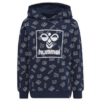 hummel-almar-hoodie