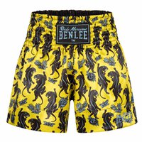 benlee-boxers-thaibox-panther