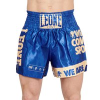 leone1947-boxers-thaibox-dna