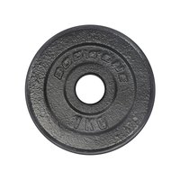 bodytone-iron-weight-plate-1kg