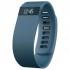 Fitbit Charge Activity Band