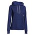 Under armour Rival Cotton Storm P/o Hoodie