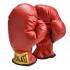 Everlast equipment Guantes Boxeo Youth