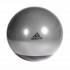 adidas Gymball Premium