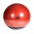 adidas Premium Gymball
