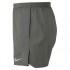 Nike Flex 5In Distance Short Pants