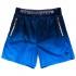 Superdry Active Ombre Training Short Pants