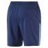 Puma Core7 Inch Shorts