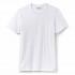 Lacoste TH3326 Short Sleeve T-Shirt