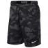 Nike Pantalones Cortos Dry 2L Camo