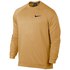 Nike Dry Crew Pullover