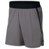 Nike Flex Repel 4.0 Short Pants