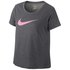 Nike Camiseta Manga Corta Dry DFCT Scoop Big