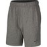 Nike Pantalones Cortos Dri-Fit Hyperdry Regular