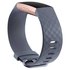 Fitbit Charge 3 Activity Band