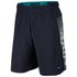 Nike Dry 4.0 Linear Vision Short Pants
