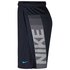 Nike Pantalones Cortos Dry 4.0 Linear Vision