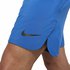 Nike Flex Vent Max 2.0Regular Shorts