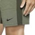 Nike Flex ActiveRegular Short Pants