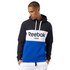 Reebok Training Essentials Big Logo Sweatshirt Met Capuchon