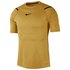 Nike Pro Aeroadapt Short Sleeve T-Shirt