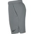 Nike Pro Flex Vent Max 3.0 Kurze Hosen