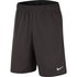 Nike Dri-Fit 2.0 Shorts