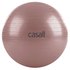 Casall Fitball Gym
