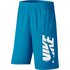 Nike HBR Shorts