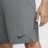 Nike Flex Kurze Hosen
