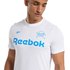 Reebok Graphic Series Seasonal Graphic short sleeve T-shirt