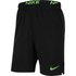 Nike Dri-Fit Flex Shorts