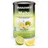 Overstims Malto Antioxydant Citron Et Citron Vert 500gr
